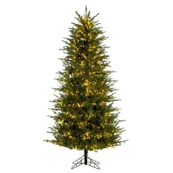 Vickerman 5.5' x 38" Georgian Fraser Fir Artificial Pre-Lit Christmas Tree with Folding Metal Tree Stand