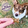 Old Mother Hubbard by Wellness - Extra Tasty Assortment Mini with Carrot, Apple, Liver, Cheese, Peanut Butter and Bacon Flavor Dog Treats - 20oz - 4 of 4