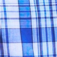 blue plaid