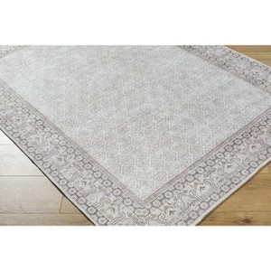 Hauteloom Cloris Living Room, Bedroom Machine Washable Area Rug - Traditional, Transitional - 1 of 4