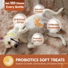 ZEBORA Dog Probiotics with Pumpkin & Digestive Enzymes Supports gut health, relieves occasional diarrhea & skin issues 120 pumpkin-flavored soft chews - 4 of 4