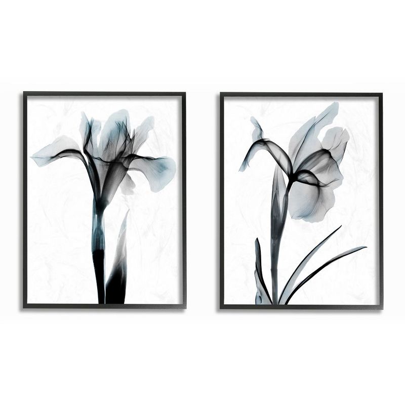 Stupell Industries Contrast Black And Blue Flower Bloom Designs Black Framed Giclee 2pc Set, 16 x 20, 1 of 5