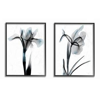 Stupell Industries Contrast Black And Blue Flower Bloom Designs Black Framed Giclee 2pc Set, 16 x 20
