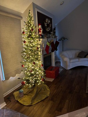 Guest review image 1 of 1, zoom in