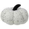 Northlight Knitted Fall Harvest Pumpkin - 7" - Ivory - 2 of 4