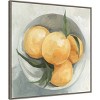 30" x 30" Fruit Bowl I by Emma Scarvey Framed Canvas Wall Art Print - Amanti Art: Modern Lithograph, Polystyrene Frame - 2 of 4