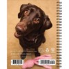 Willow Creek Press What Labs Teach Us 2025 Engagement Calendar: Weekly Planner, Spiral Binding, 6.5x8.525", All Ages - 2 of 4