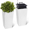 Tall Planter Set of 2, Large Outdoor & Indoor Flower Pots with Drainage Holes,Water Level Monitor,Inner Bucket,Trays & Wheels,Self-Watering Planters - 3 of 4