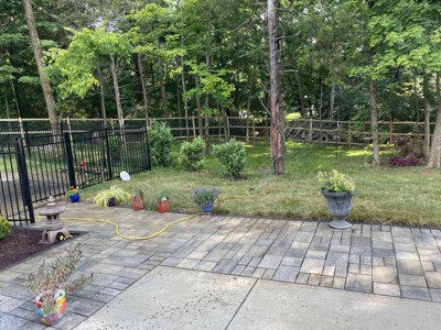 Guest review image 1 of 1, zoom in