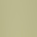Light Olive Green