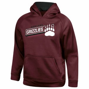 NCAA Montana Grizzlies Boys' Gray Hooded Sweatshirt - 1 of 3