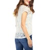 Allegra K Women's Curved Hem Sheer Short Sleeves Floral Lace Blouse - 4 of 4