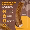 WhiteTail Naturals Jumbo Deer Antlers 2-Pack – XXL Durable Chews for X-Large & Aggressive Dogs – Odorless, All-Natural, USA Made - 3 of 4