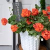 Pavilion Gift Company - Come In - 5" x 12" Plaque - Wall Sign Panels - 3 of 4