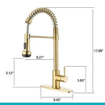 Rainovo Single Handle Kitchen Faucet with Pull Down Sprayer with Spring and 4 Modes