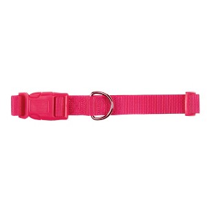 Casual Canine 1" Wide Nylon Dog Collar, Fits Necks 18" to 26", Raspberry Sorbet - 1 of 2