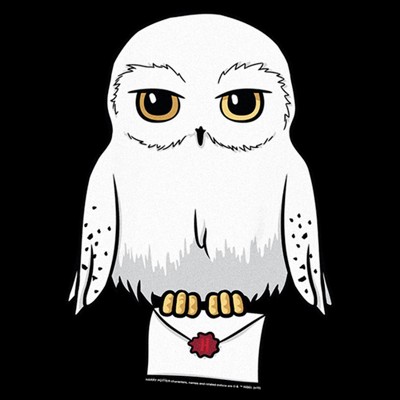Harry Potter Girl's Harry Potter Cute Cartoon Hedwig Letter Graphic Graphic Cropped T-Shirt - Black - Large — фото 2