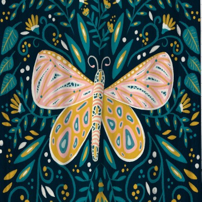 butterfly symmetry
