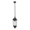Teri 7" Outdoor Pendant - PLT4083 - Black - Safavieh - 2 of 4