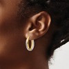 Black Bow Jewelry 5mm Polished Double Oval Hoop Earrings in 14k Two Tone Gold, 23mm - 3 of 4