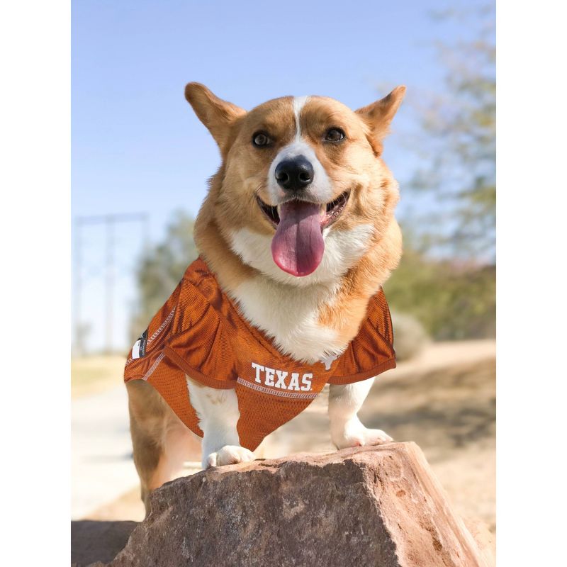 NCAA Texas Longhorns Pets Mesh Jersey, 4 of 5