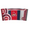 MLB St. Louis Cardinals 24oz Cool Vibes Eagle Tumbler - 2 of 3
