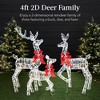 Best Choice Products 3-Piece 2D Deer Family Set, Lighted Christmas Outdoor Decoration w/ 175 Lights, Stakes - 3 of 4