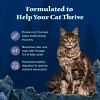 Blue Buffalo Wilderness High Protein Natural Adult Dry Cat Food Chicken Flavor - 4 of 4