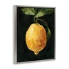 Stupell Industries Abstract Lemon on Vine Floating Frame Canvas Art, Gray, 25" x 31" - 2 of 4