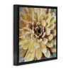 Stupell Industries Yellow Botanical Succulent Bloom Painting, 25" x 25" - 3 of 4