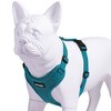Voyager Step-In Lock Adjustable Dog & Cat Harness for All Breeds, Breathable Mesh, Turquoise M - 3 of 4