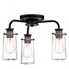 Braelyn 11.25" 3 Light Mini Convertible Chandelier or Semi Flush with Clear Seeded Glass Classic Pewter - 3 of 3