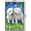 Trends International Keith Kimberlin - White Golden Retriever Puppies Framed Wall Poster Prints - 3 of 4