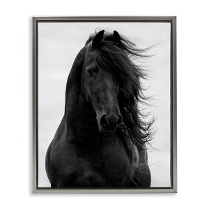 Stupell Industries Black Stallion Horse Portrait Floating Frame Canvas Art - 1 of 4