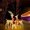 GlasFlength Decorative Objects Elk Deer Sled Decoration Christmas Deer Outdoor Yard Decoration Courtyard Elk Decoration, Gold, 23.62"*7.87"*47.24" - 2 of 4
