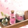 Beloved Cherry Blossom & Tea Rose Shower & Bath Gel 11.8oz - 3 of 4