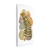 Stupell Industries Abstract Fern & Pebbles Wall Plaque Art, 13" x 19" - 2 of 4