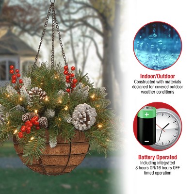20" Frosted Berry Hanging Basket with Warm White LED Lights