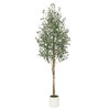 Artificial Olive Trees  - Realistic Faux Plants with Wood Trunks in White Planters for Living Room & Home Deco - 2 of 4