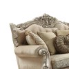Acme Furniture Bently Sofa Champagne - 2 of 4