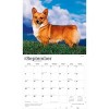 BrownTrout For the Love of Welsh Corgis 2026 14"x24" Hanging Deluxe Wall Calendar Plastic-Free - 4 of 4