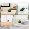 Unique Bargains Fake Succulent Plant for Office Desk Bathroom Kitchen Decor - 4 of 4