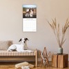 2026 Square Wall Calendar, Shih Tzu, 16-Month Animals Theme with 180 Reminder Stickers (12x12 In) - 2 of 4