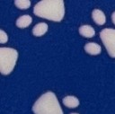 paws
