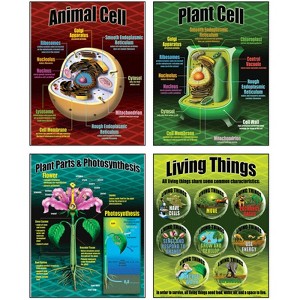 Mcdonald Publishing Life Science Posters, Set of 4 - 1 of 1
