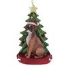 Kurt Adler Resin Ornament for Christmas Tree, Boxer with Christmas Tree - 2 of 3