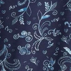 navy paisley