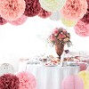 EpiqueOne 22-Piece Tissue Paper Pom Poms and Paper Lantern Party Kit - Add a Splash of White, Pink, & Mauve to Your Celebrations! - 4 of 4