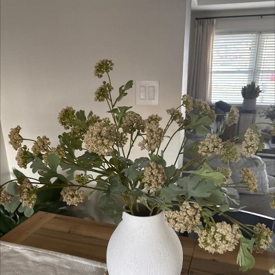 Guest review image 2 of 2, zoom in