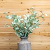 Blue Silver Dollar Eucalyptus Leaf Spray (Set of 6) - 4 of 4